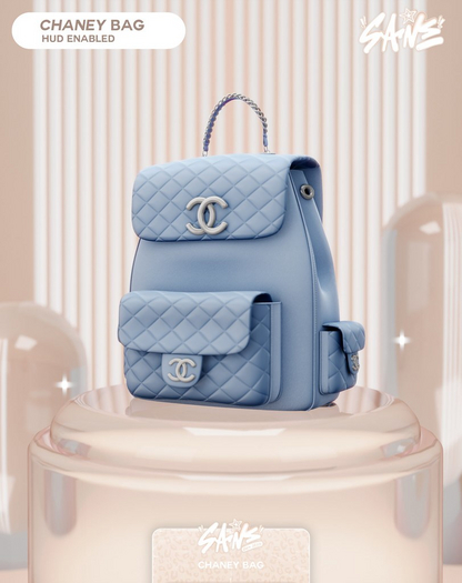$ANE/ Chaney Bag // Fatpack