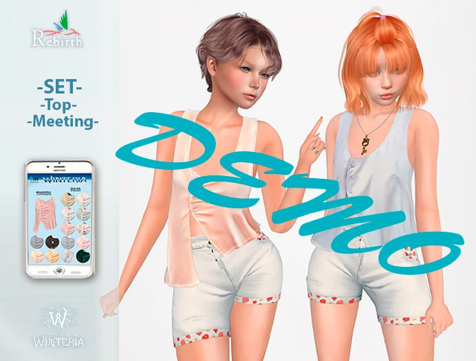 SET-Top-Meeting-Rebirth-DEMO