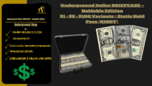 Underground-Money Briefcase  Dolars