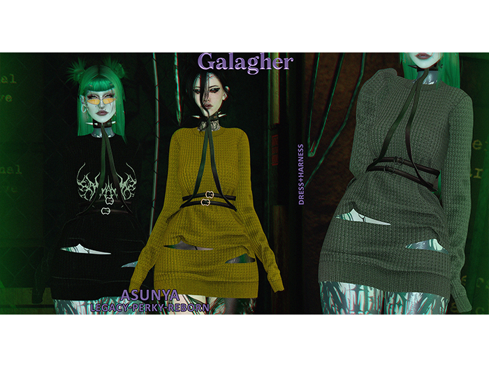 Galagher - Asunya Fatpack