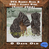DFS Rabbit Buck & DOE -  Jungle Hare (August 2024) RARE