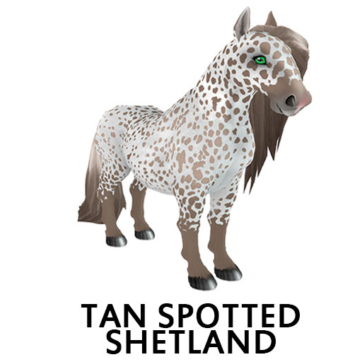 TanSpotted Sheti F