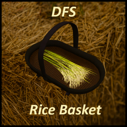DFS Rice Basket (Actual Item)