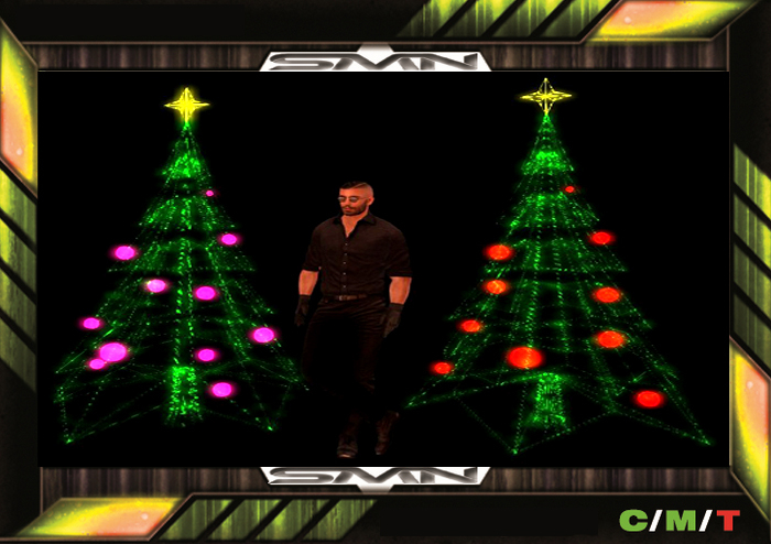 DIGI  X MAS  TREE