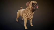 3D Mesh Full Prime Animals.. dog Pug low-poly Low-poly 3D model