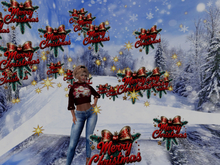 Merry Christmas with stars
