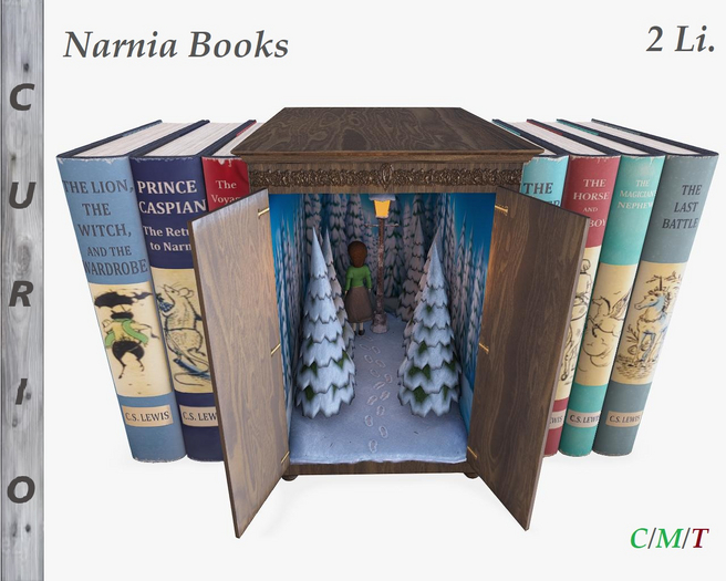 Chronicles book nook