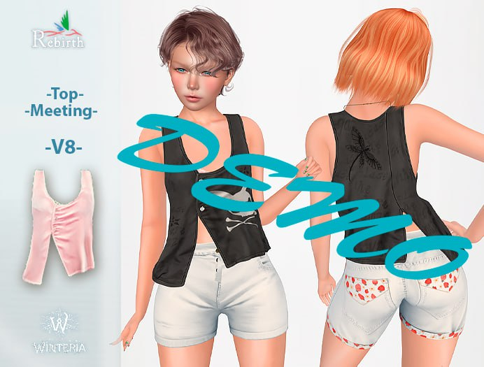 Top-Meeting-V8-REBIRTH-DEMO