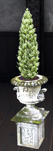 Victorain winter Planter