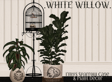 White WIllow.  Emy's Sparrow & Plants ADD