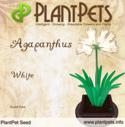 PlantPet Seed [Agapanthus *White*] RARE ELITE