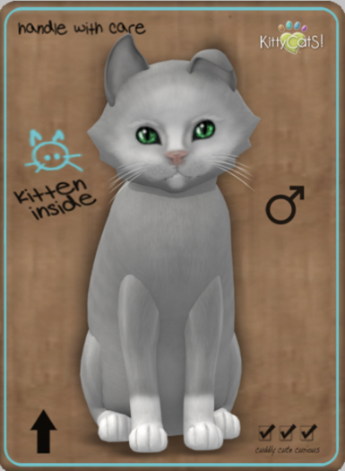 KittyCatS Box - Genesis - Diamond III Male