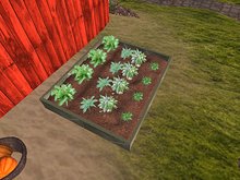 Garden bed with vegetables