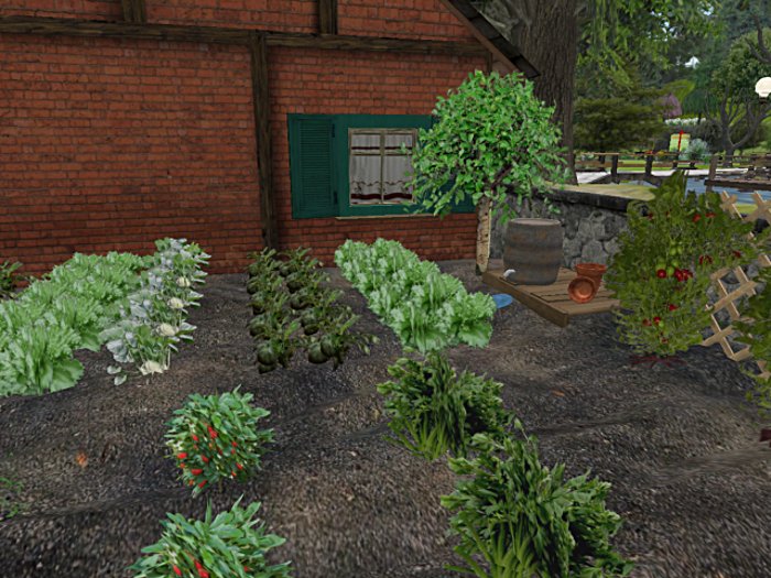 Garden with vegetables