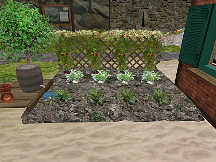 Garden with vegetables - small