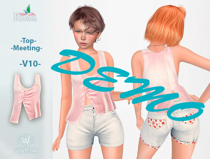 Top-Meeting-V10-REBIRTH-DEMO