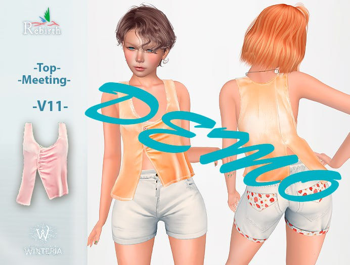 Top-Meeting-V11-REBIRTH-DEMO