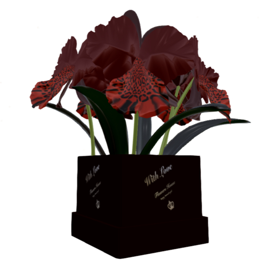 Orchid