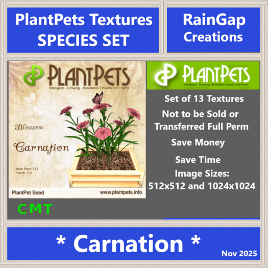 PLANTPETS POSTER SET CARNATION (13)