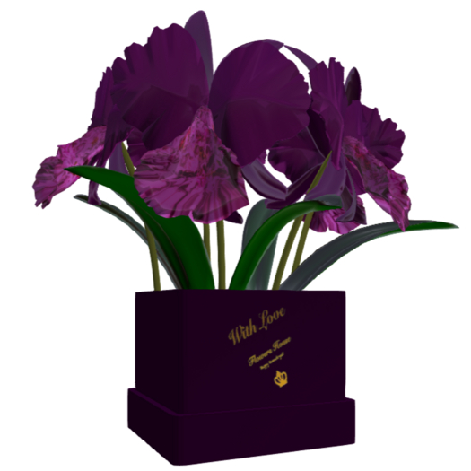 Orchid