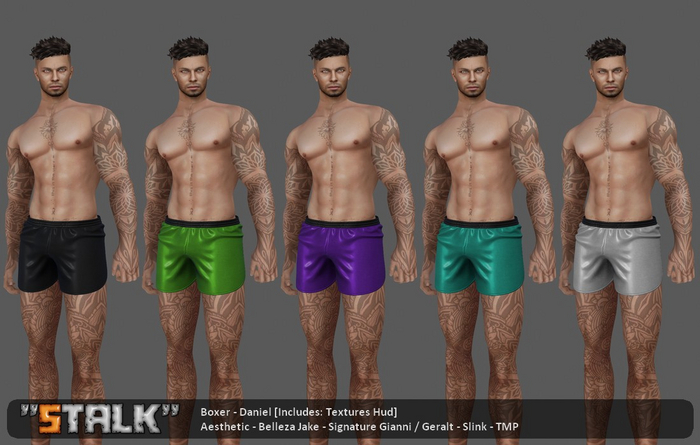 Boxer - Daniel