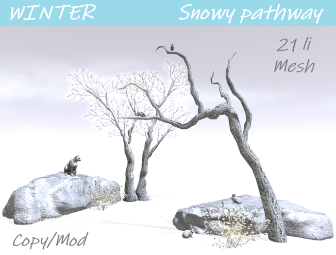 WINTER Snowy pathway