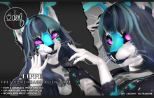 eden. // Lippe - Frettchenhaus Alien Cat
