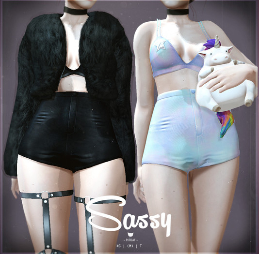 pixicat sassy FULL SET MAITREYA 3 RARES + 14 COMMONS