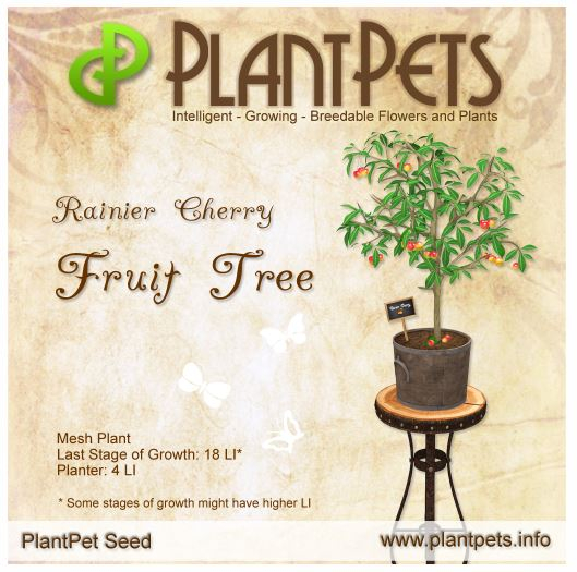 PlantPet Seed [Fruit Tree *Rainier Cherry*]