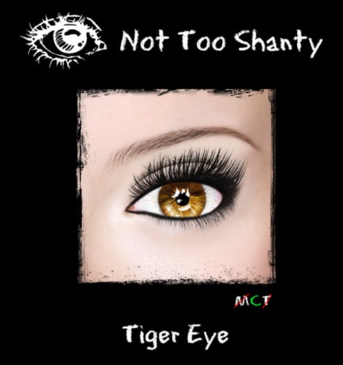 [NTS] TigerEye Eyes - Hand Painted Unique And Glossy Eyes