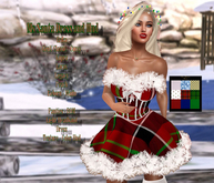 Ms Santa Dress and Hud