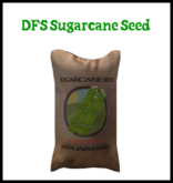 DFS Sugarcane Seed V2.2 - ACTUAL ITEM