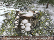 ✰:*´¨*WinterMagic*¨´*:✰ WinterBirds on WinterTrunk