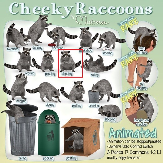 08 Mutresse-Cheeky Raccoons-Clapping