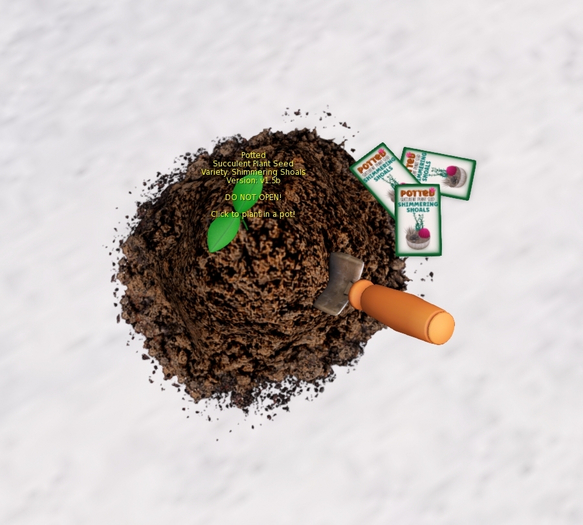 Potted: Succulent Plant Seed: Shimmering Shoals