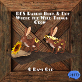 DFS Rabbit Buck & Doe - Where the Wild Things Grow  RARE 