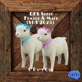 DFS Sheep - Female & Male (SOS 2025)   ( limited Item) RARE