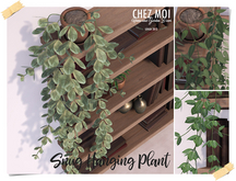 CHEZ MOI Snug Hanging Plant