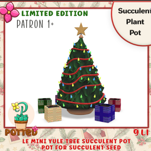 Potted ~ LE Mini Yule Tree Succulent Pot