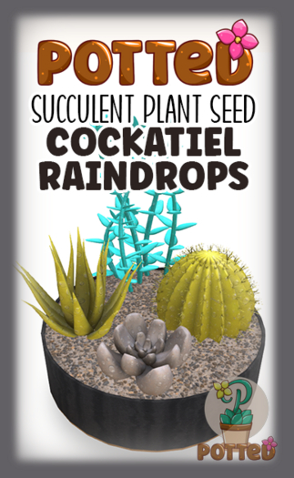 Potted: Succulent Seed: Cockatiel Raindrops