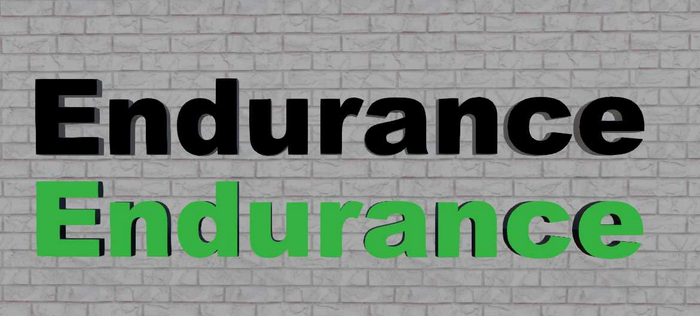 Panel ENDURANCE name logo