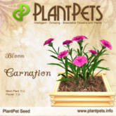 PlantPet Seed [Carnation *Bloom*]