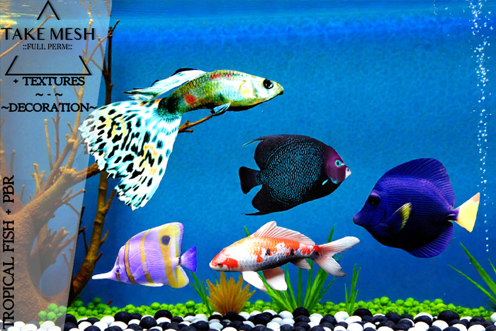 ! TakeMesh - TROPICAL FISH + PBR