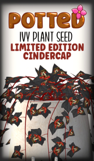 Potted: Ivy Seed: LE Cindercap