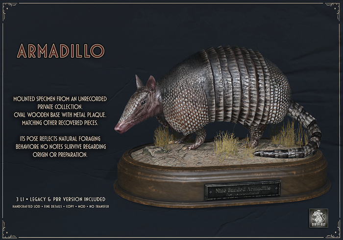 Dirty Rat - Armadillo