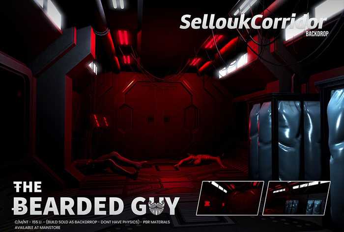 Sellouk Corridor Backdrop - The Bearded Guy