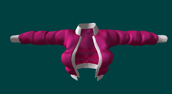 ! ! NB - Puffer Jacket W / HUD