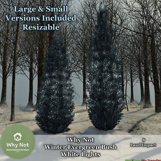 Why Not - Winter Evergreen Bushes-White Lights-Add Me
