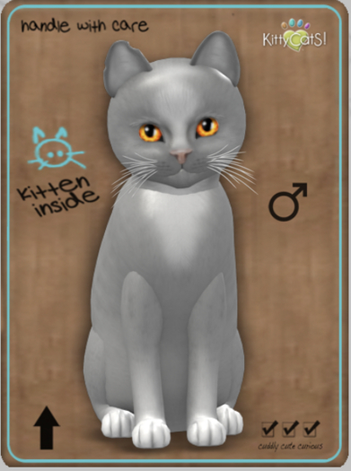 KittyCatS Box - Genesis - Diamond Male