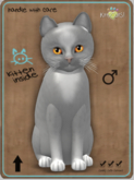 KittyCatS Box - Genesis - Diamond Male
